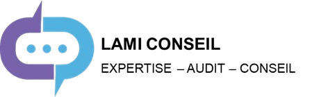 LAMI CONSEIL